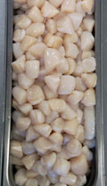 Nantucket Bay Scallops